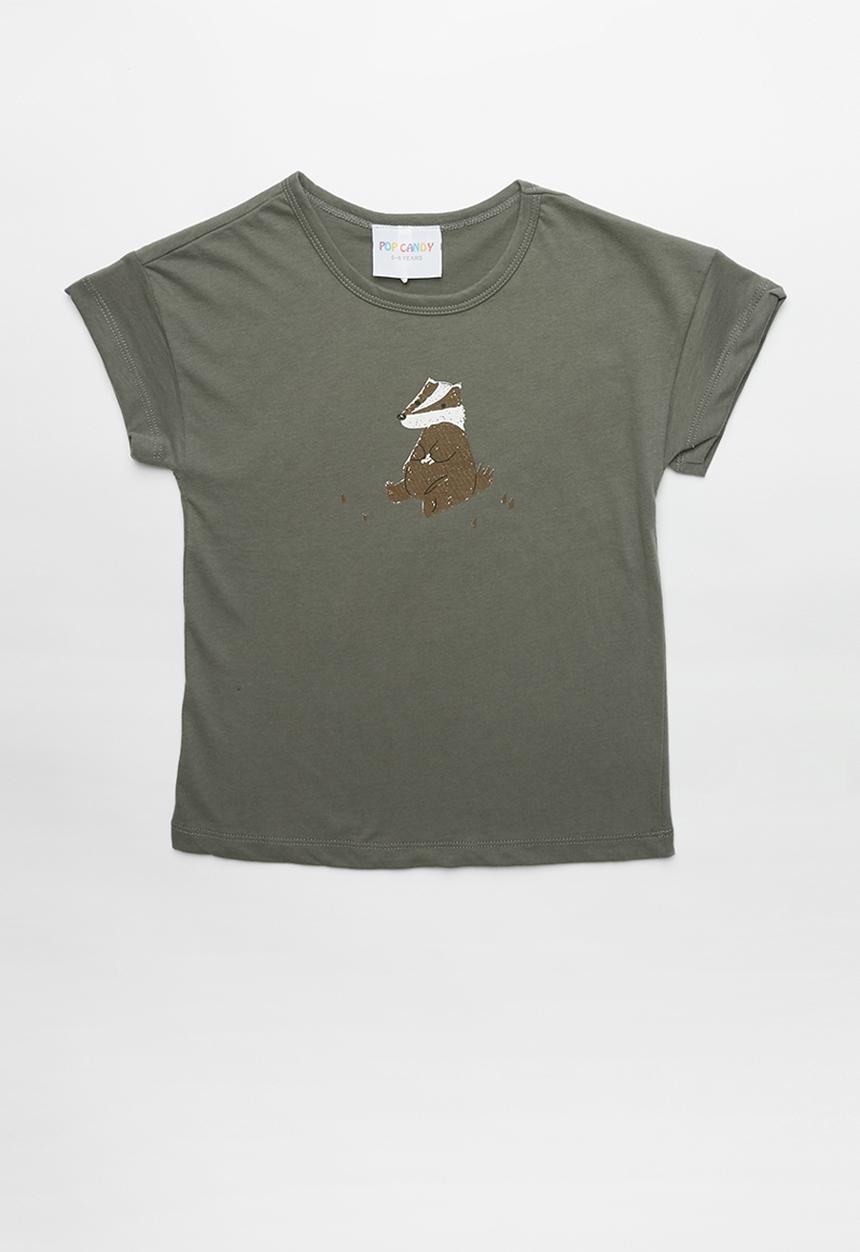 Pop Candy - Boys printed T-shirt - grey