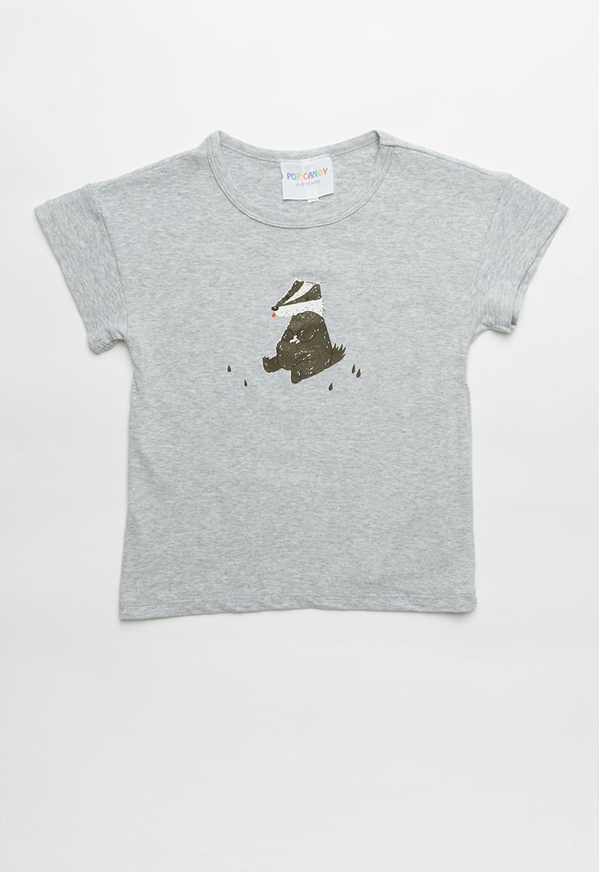 Pop Candy - Boys printed T-shirt - grey 