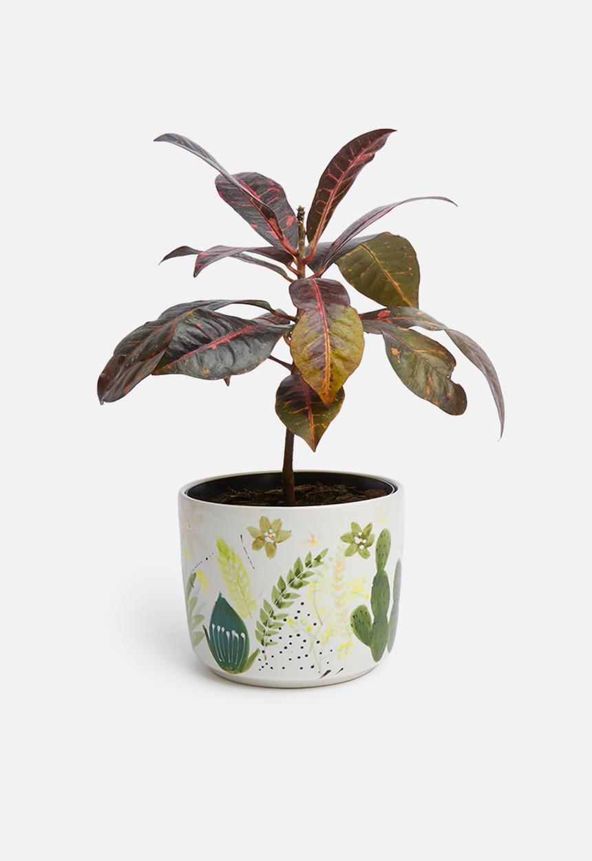Urchin Art - Floral coco pot - multi