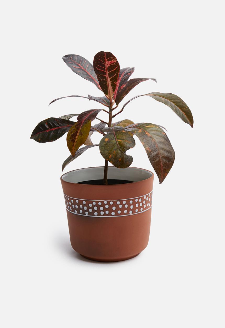 Urchin Art - Poppy outdoor planter - terracotta