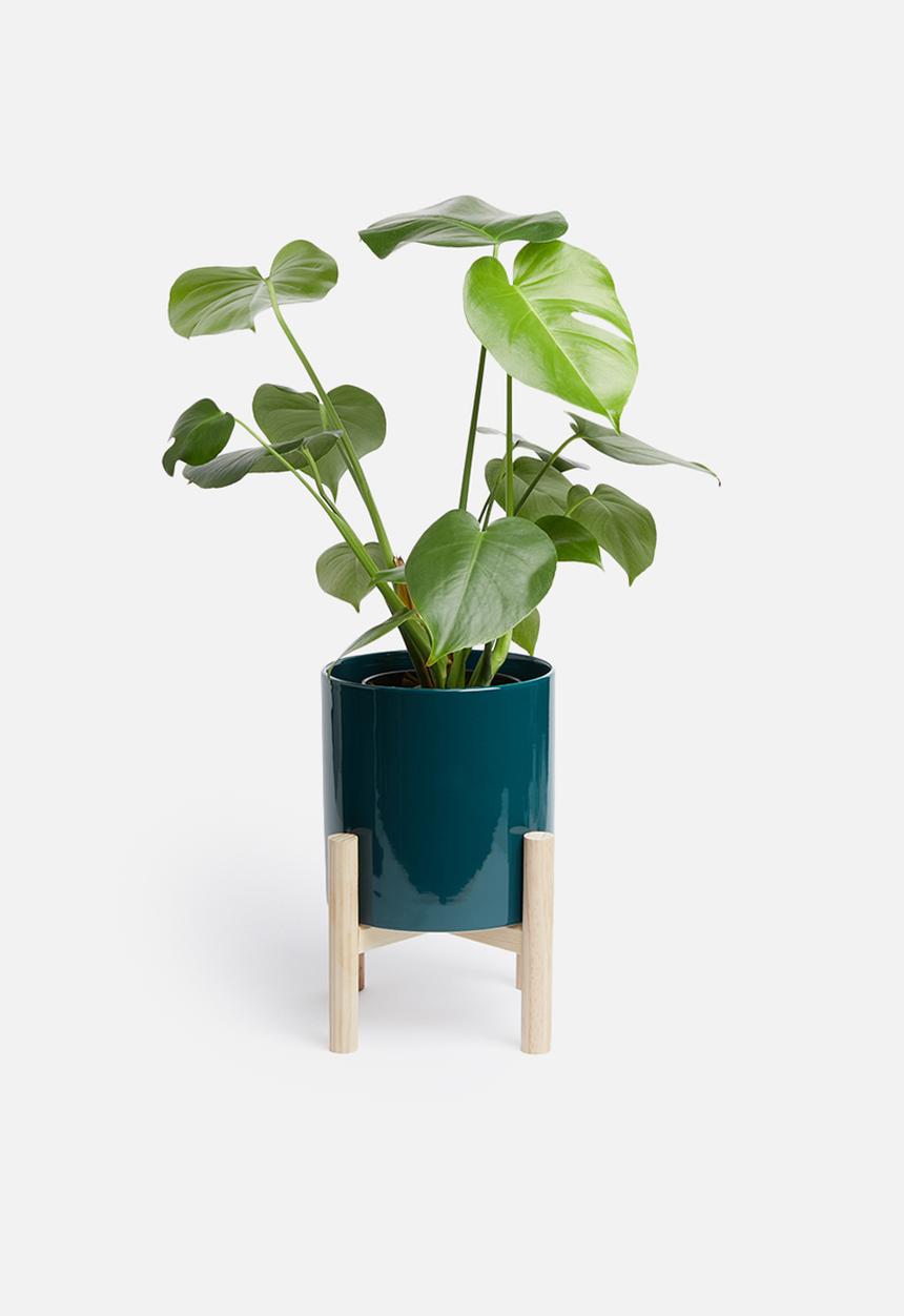 Present Time - Trestle ceramic plant pot - dark blue