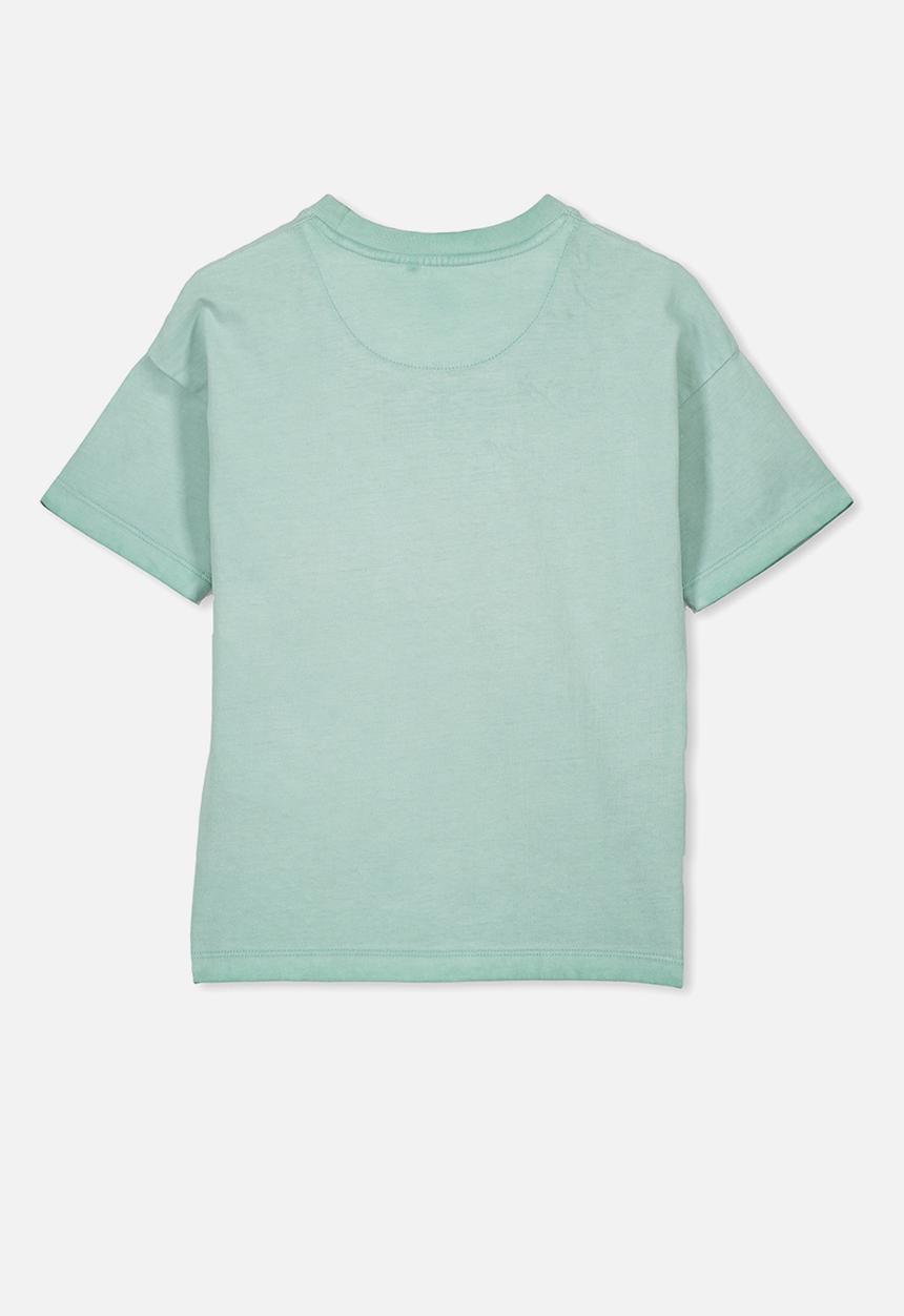 Cotton On - Skater short sleeve tee - green