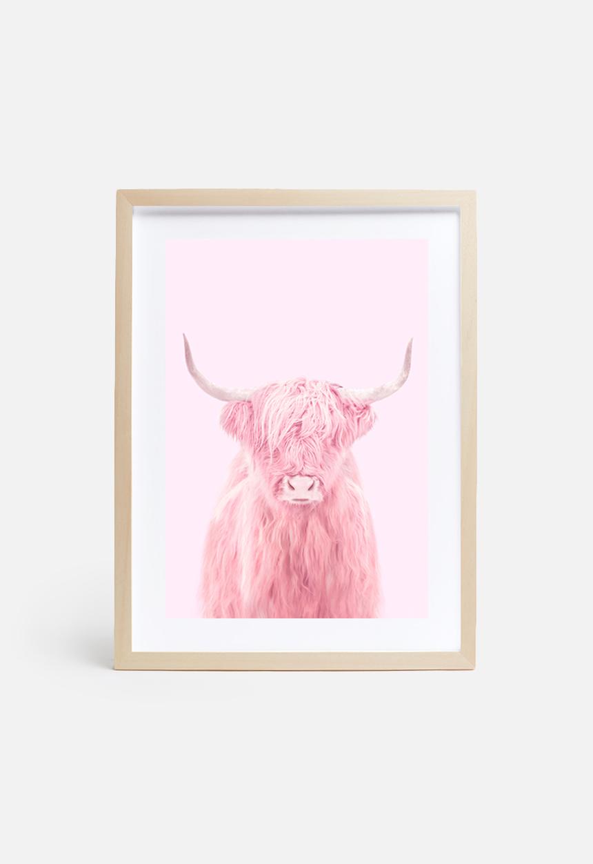 Paul Fuentes - Highland cow