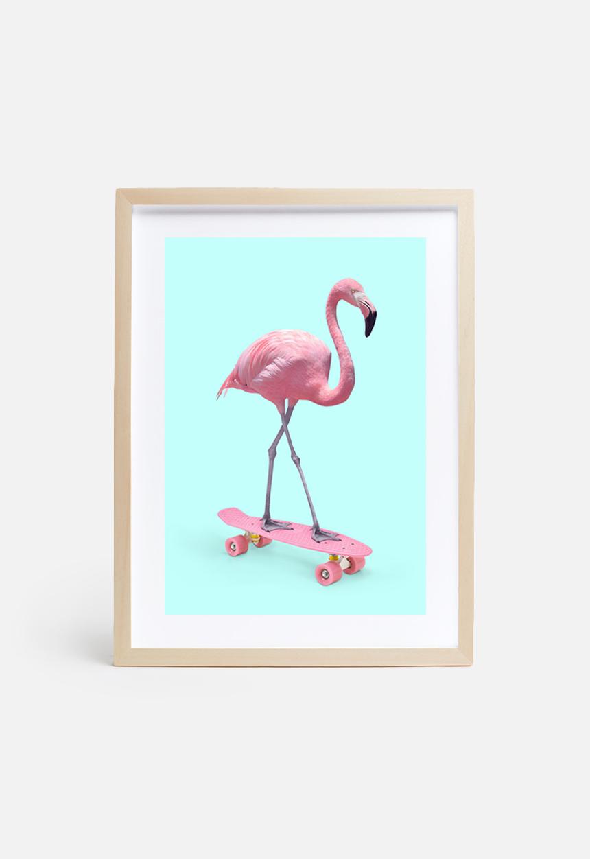 Paul Fuentes - Skate flamingo