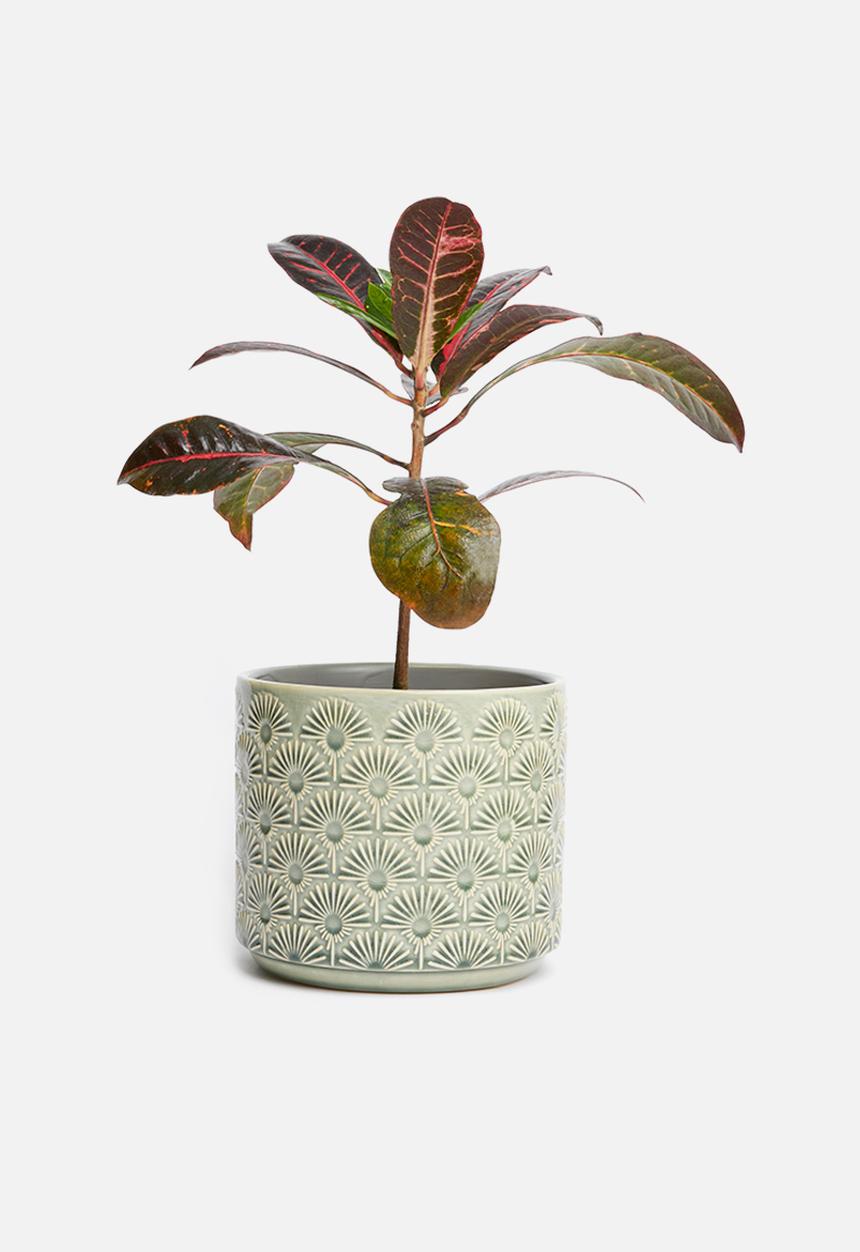 Sixth Floor - Embossed planter - green