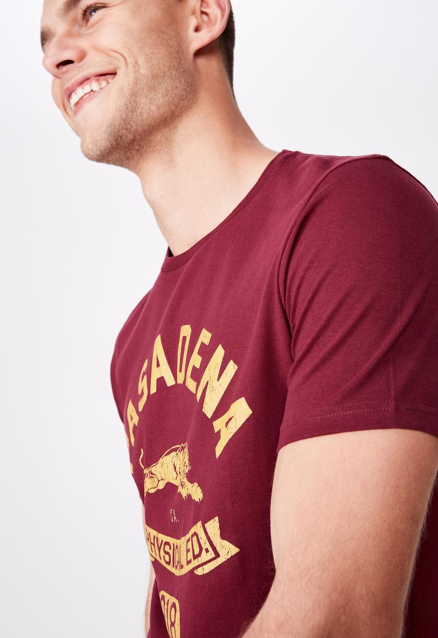 Cotton On - Tbar sport short sleeve tee - burgundy 