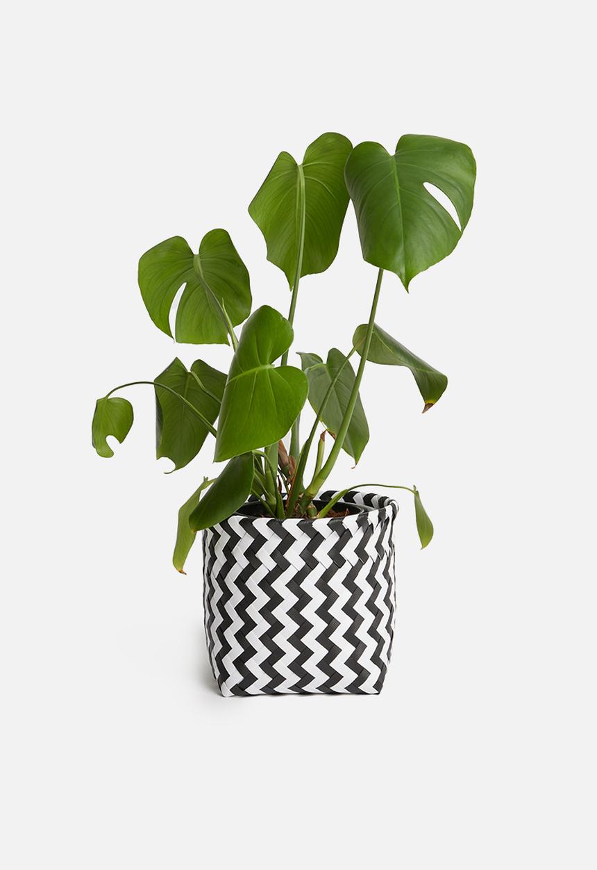 Sixth Floor - Plastic basket small - black & white