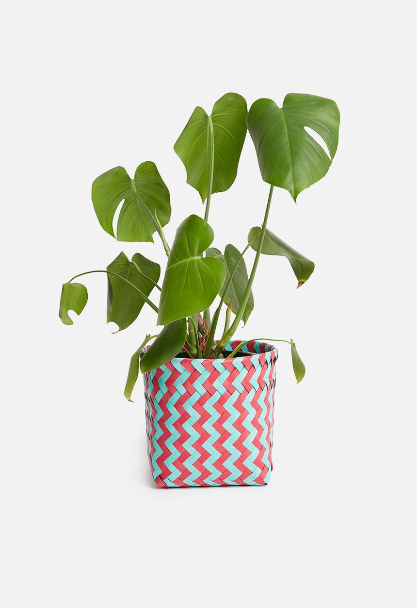 Sixth Floor - Plastic basket small - pink & blue