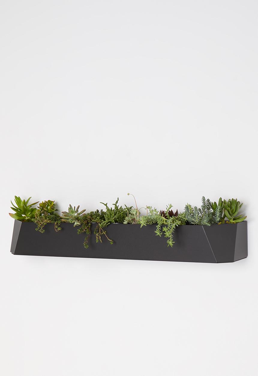 Emerging Creatives - Stockholm herb mount - black