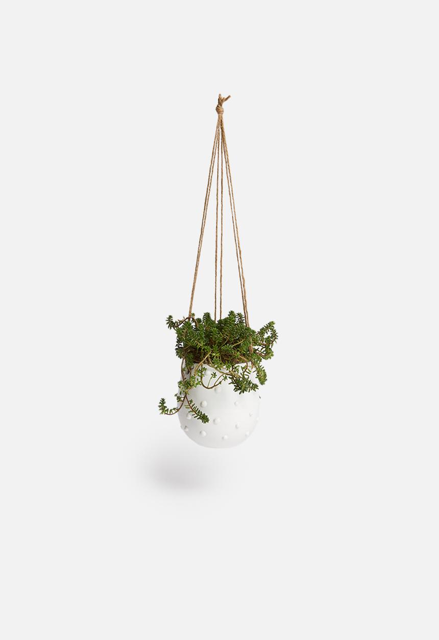 Urchin Art - Poppy hanging succulent planter - white