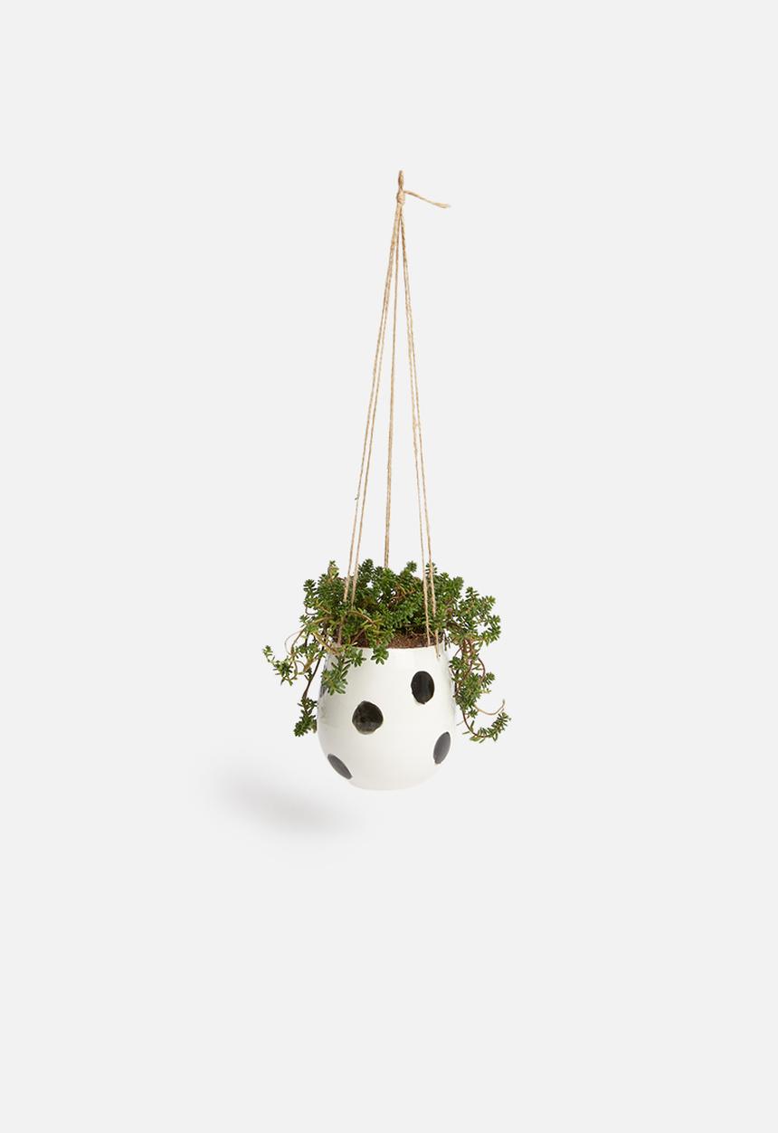 Urchin Art - Speckle hanging succulent planter - white & black