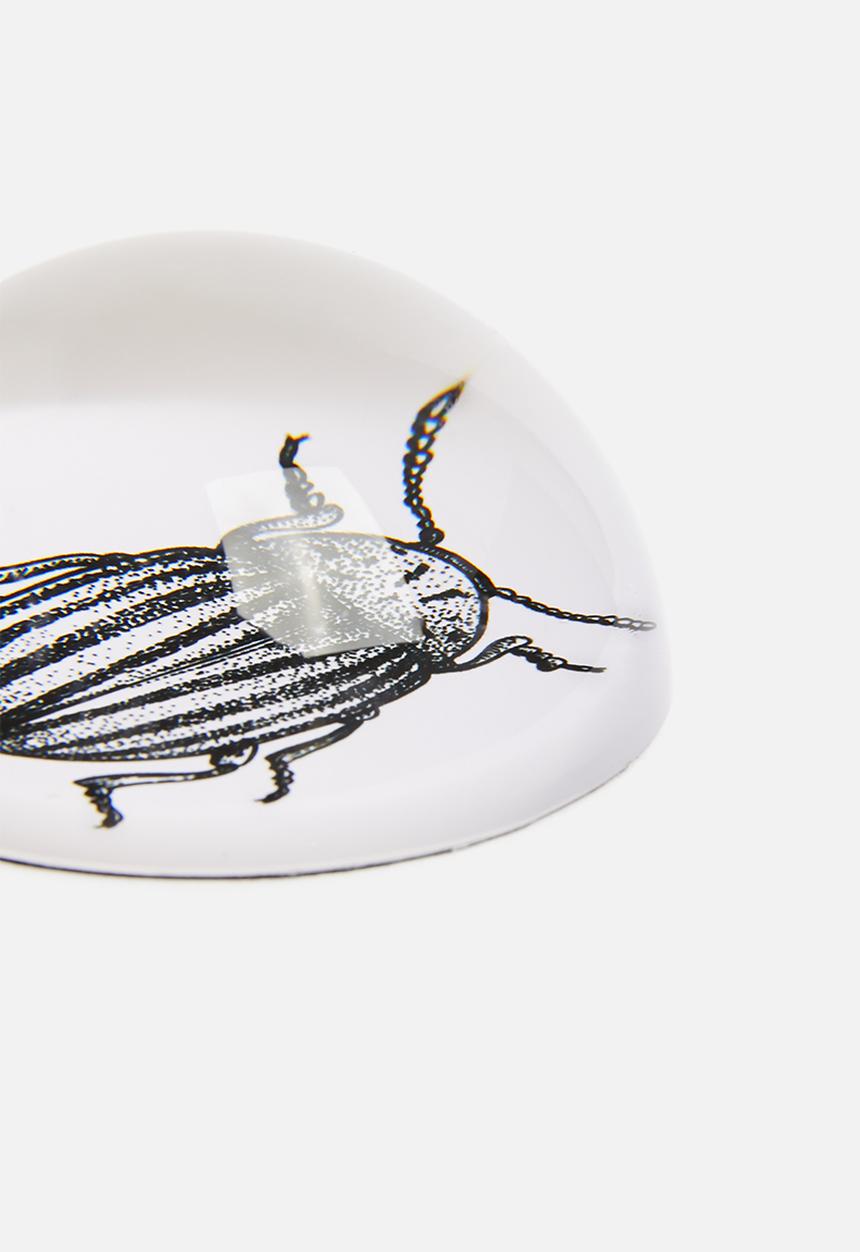 H&S - Glass paperweight - bug