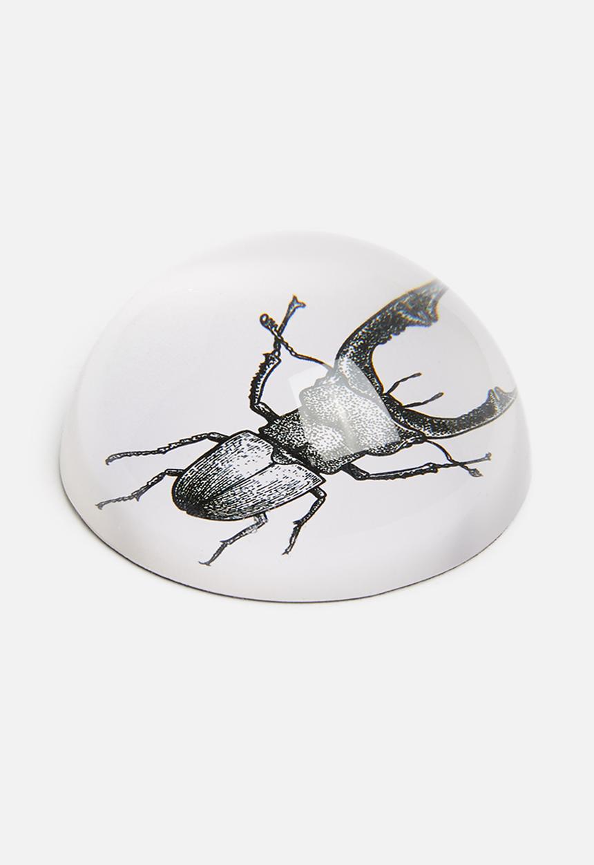 H&S - Glass paperweight - insect