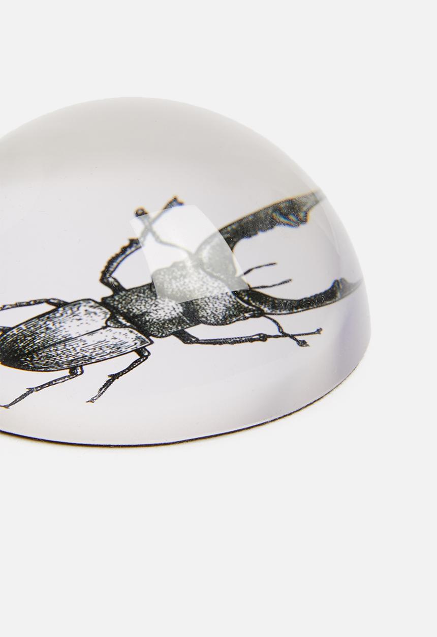 H&S - Glass paperweight - insect