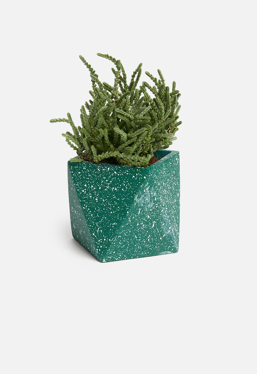 Sixth Floor - Terrazzo desk planter - green