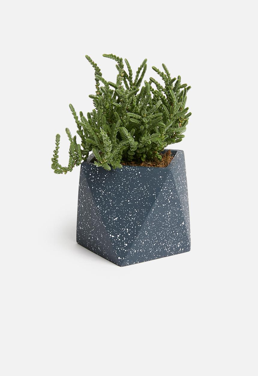 Sixth Floor - Terrazzo desk planter - black