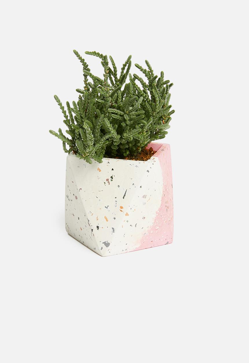 Sixth Floor - Terrazzo desk planter - pink