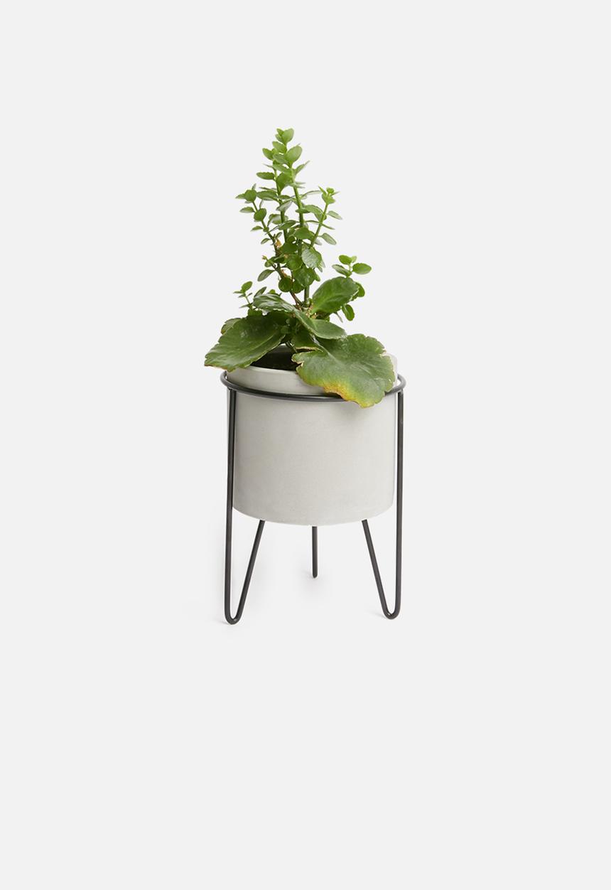 Sixth Floor - Cement plant pot - grey