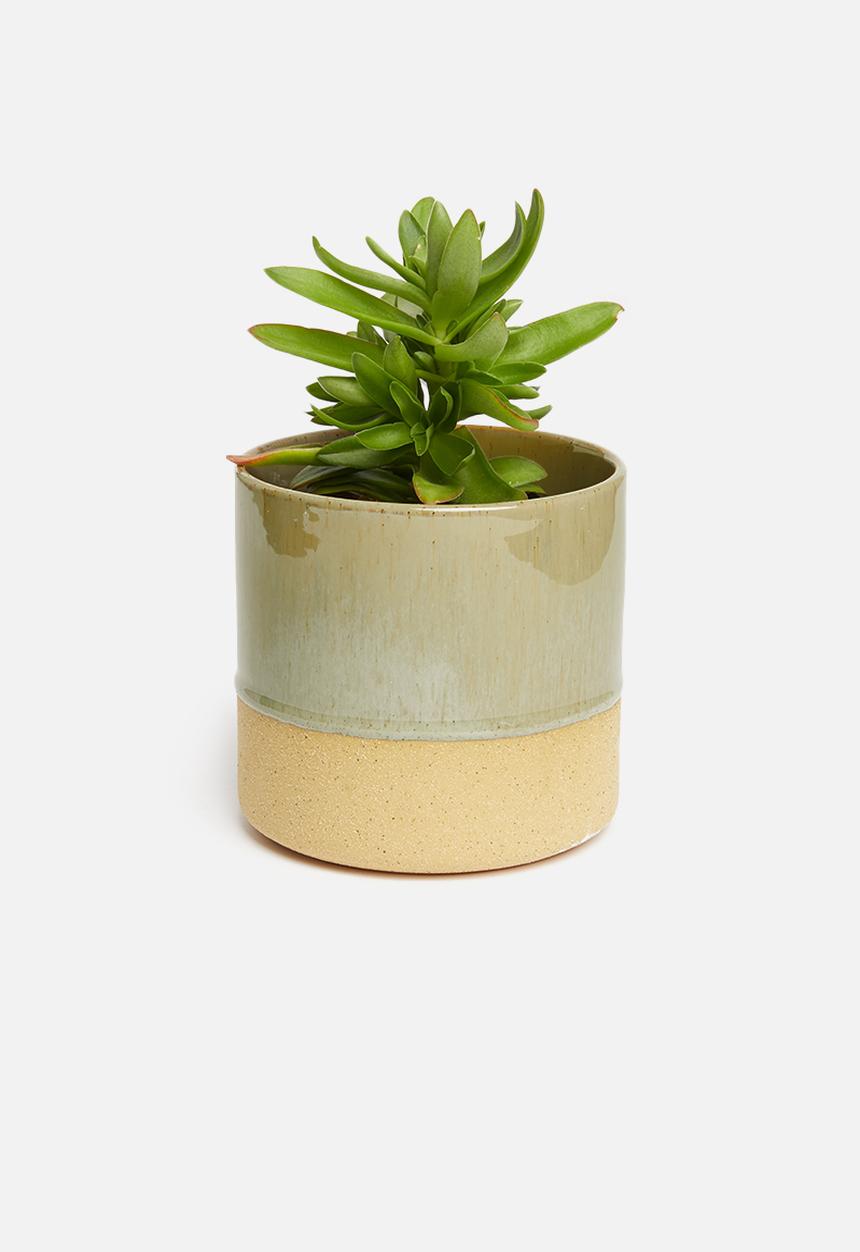 Sixth Floor - Reactive glaze planter - green