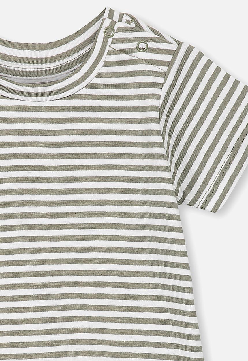 Cotton On - Jamie short sleeve tee - khaki & white 