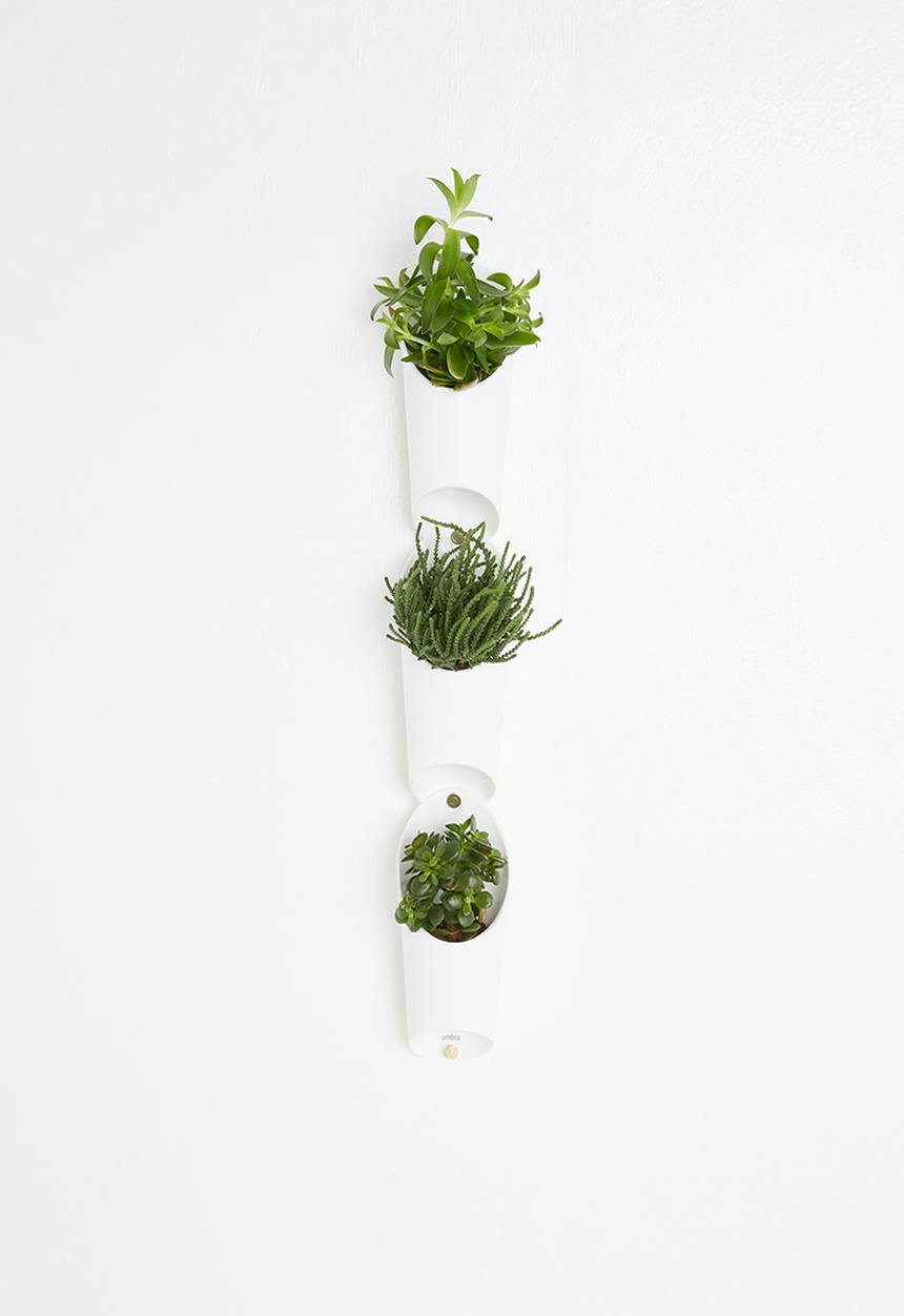 Umbra - Floralink wall vessel - white
