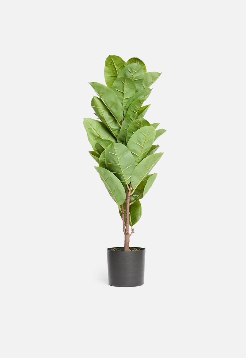 Silk By Design - Rubber plant - green 