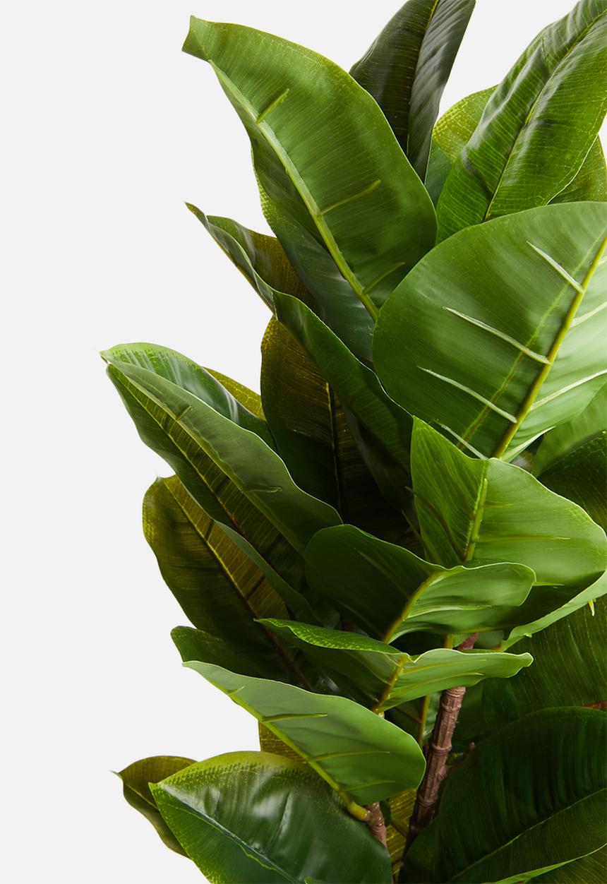 Silk By Design - Rubber plant - green 