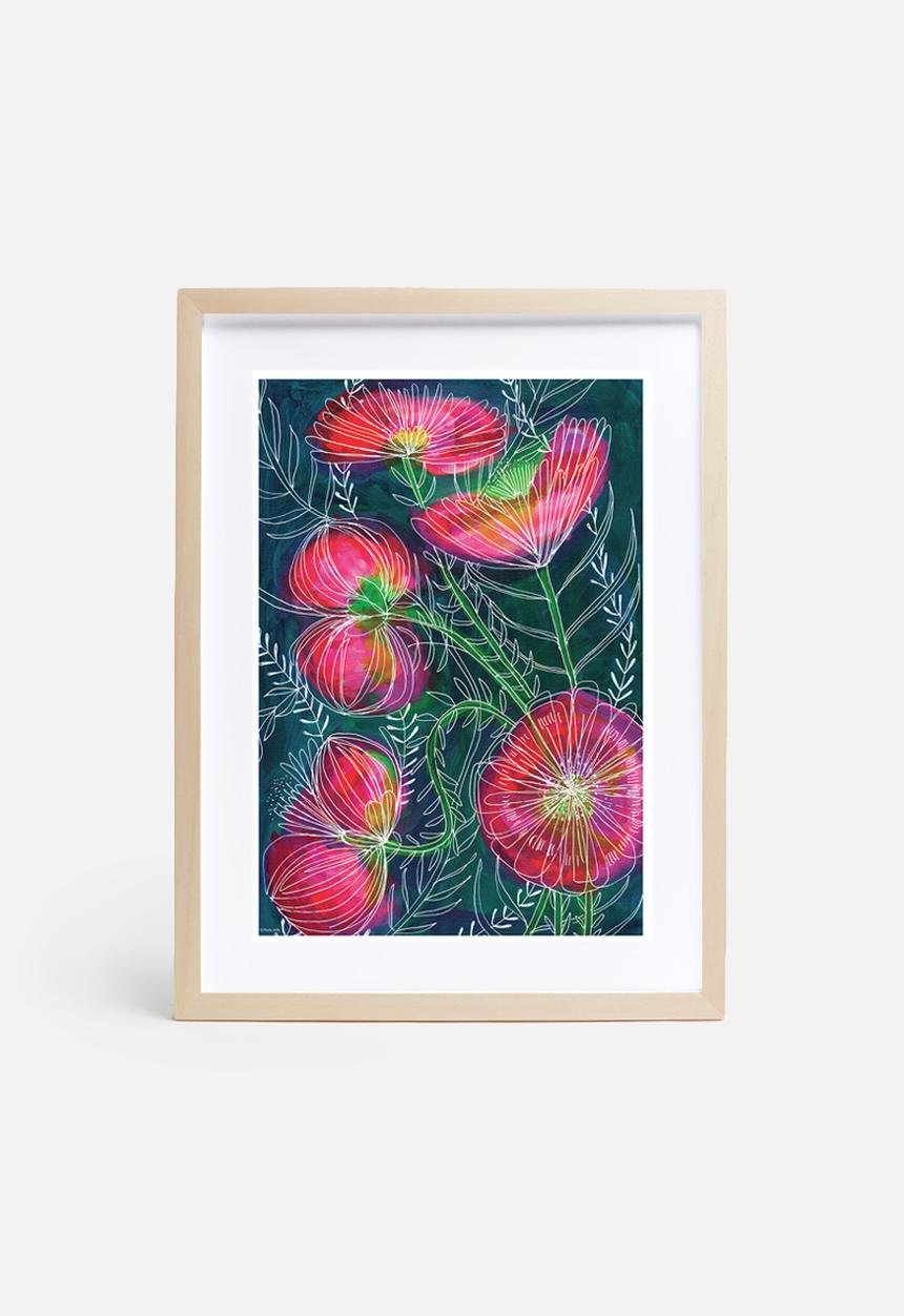 Sweet William - Always flowers