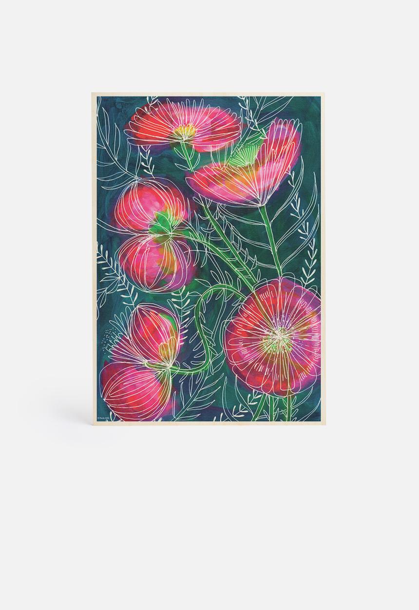 Sweet William - Always flowers