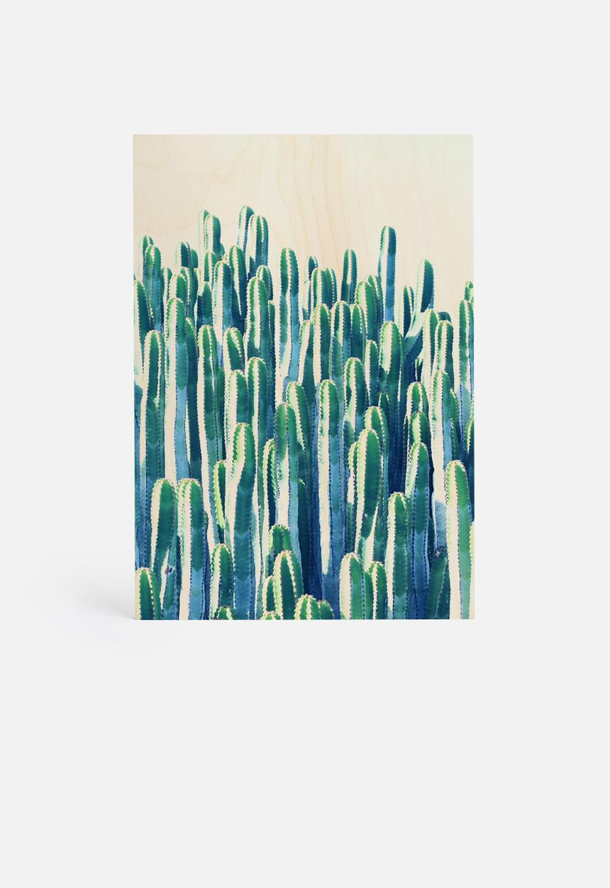 83 Oranges - Cactus V2