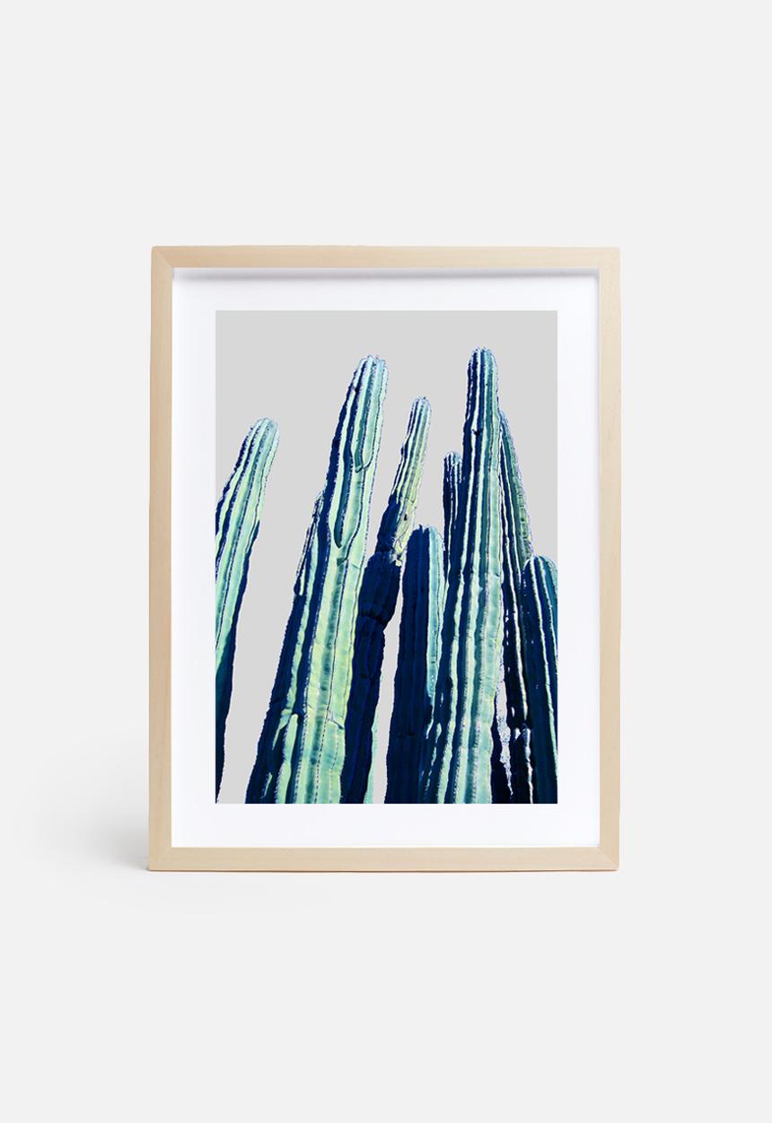 83 Oranges - Cactus 