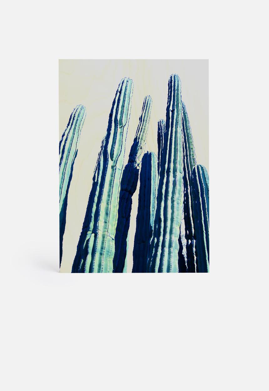 83 Oranges - Cactus 