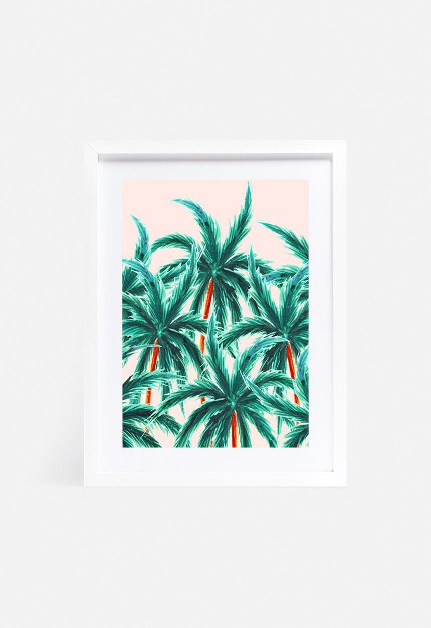83 Oranges - Coconut trees