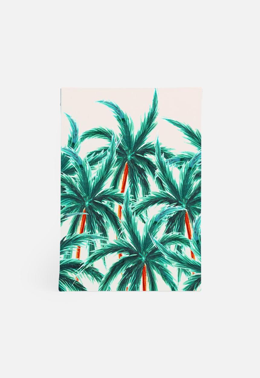 83 Oranges - Coconut trees