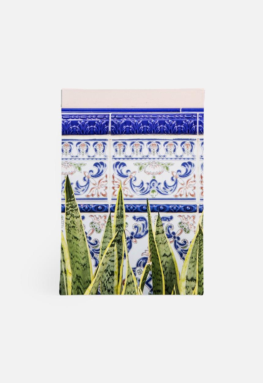 83 Oranges - Moroccan botany