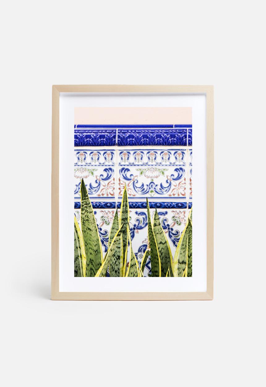 83 Oranges - Moroccan botany