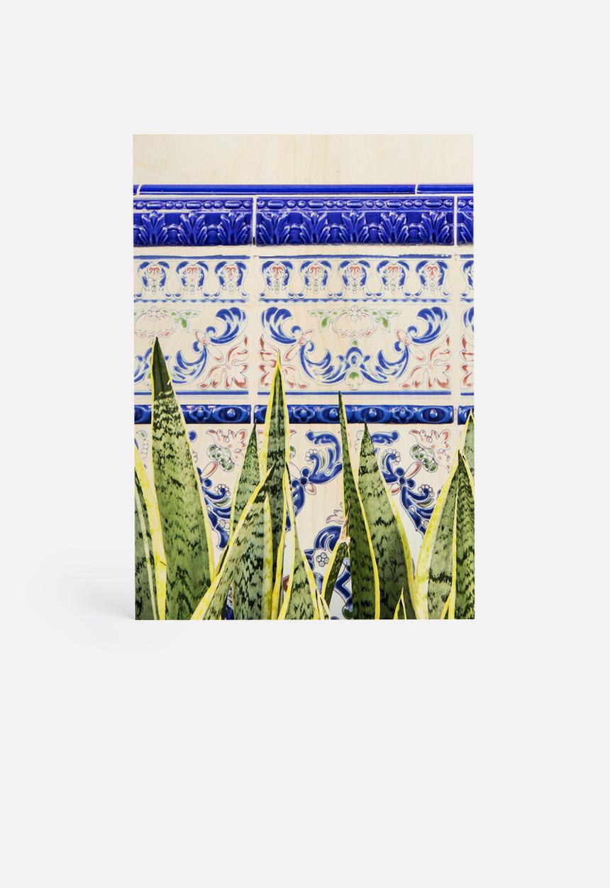 83 Oranges - Moroccan botany