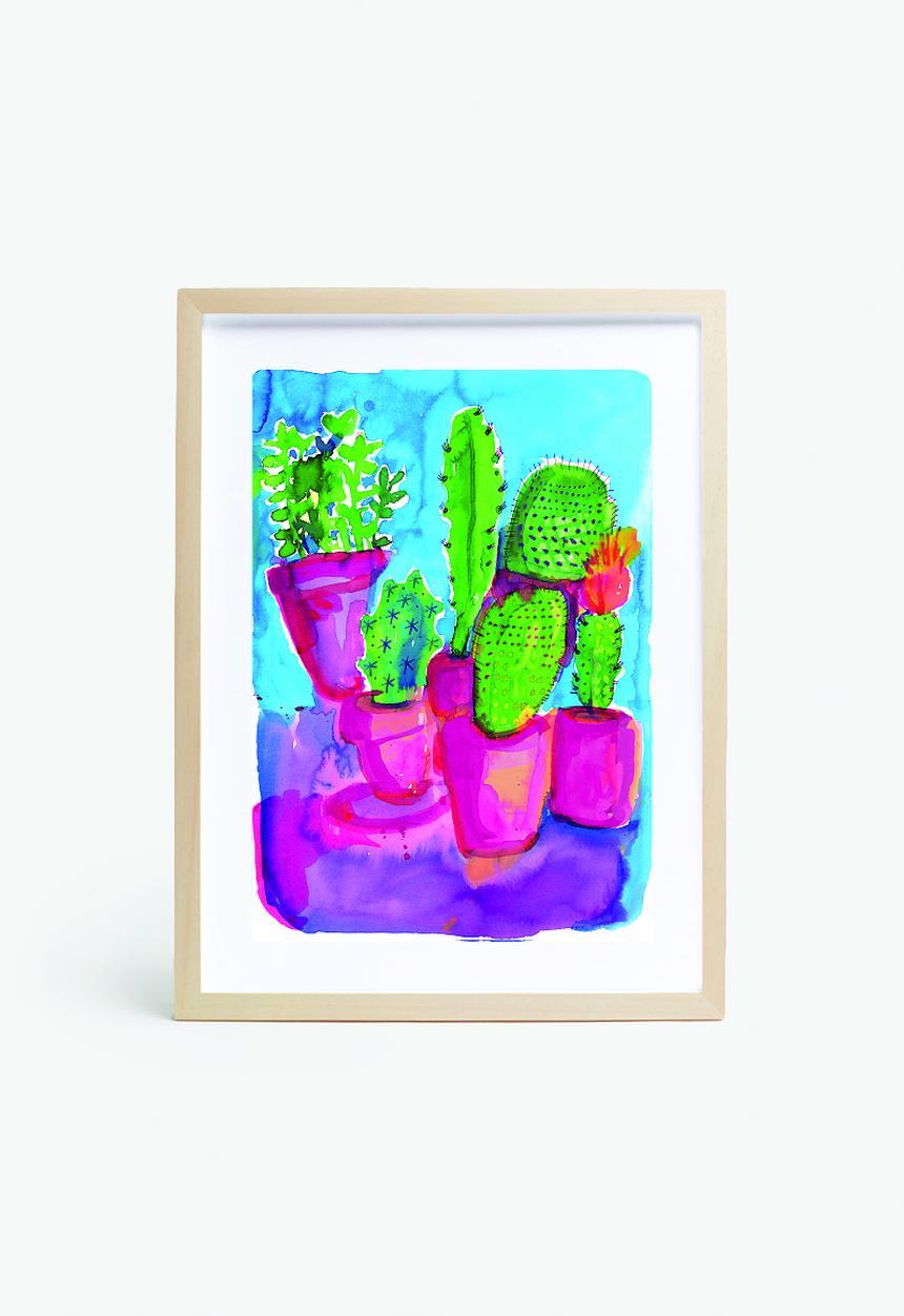 Sweet William - Cactus Party