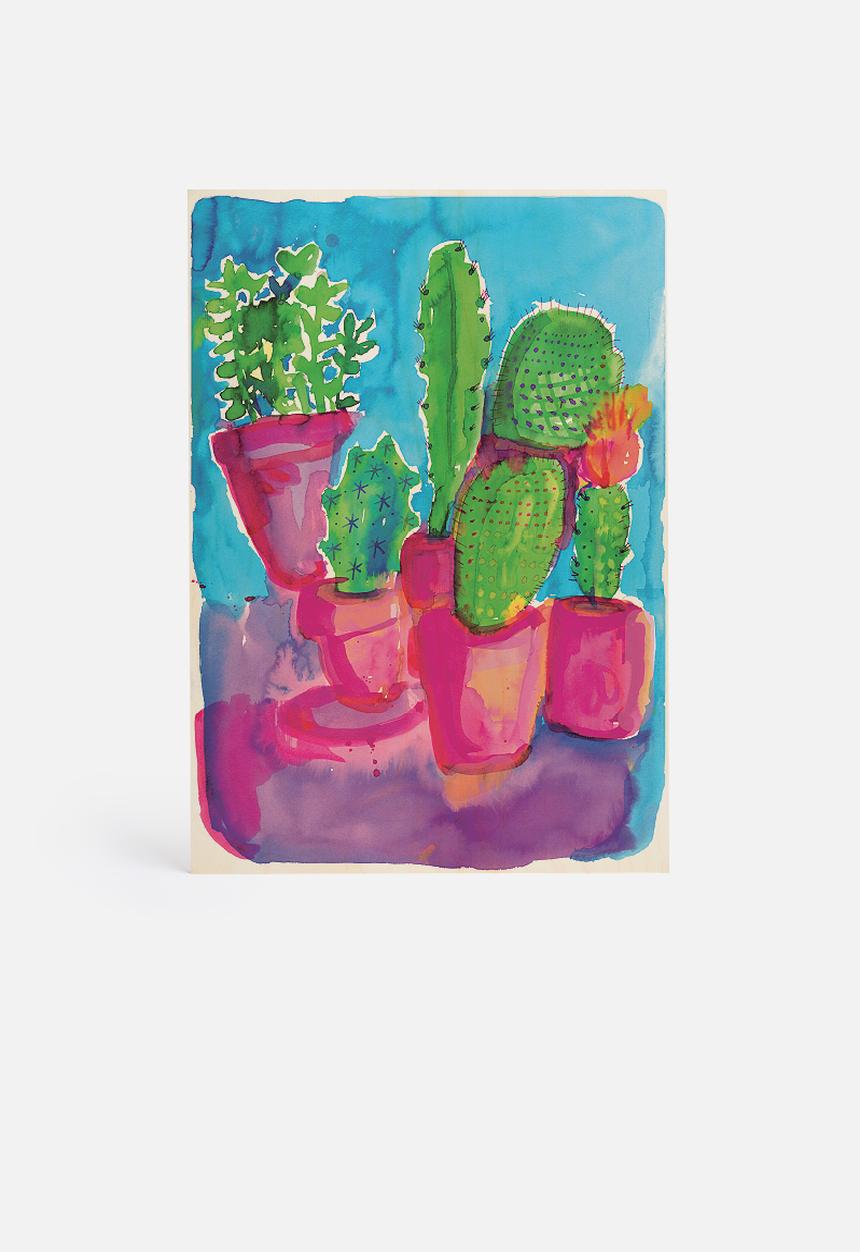 Sweet William - Cactus Party