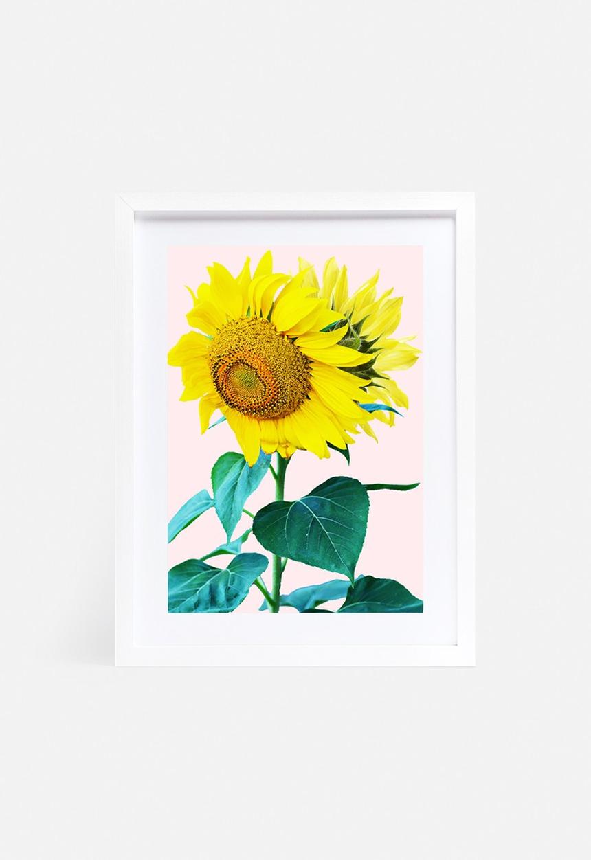 83 Oranges - Sunflowers single