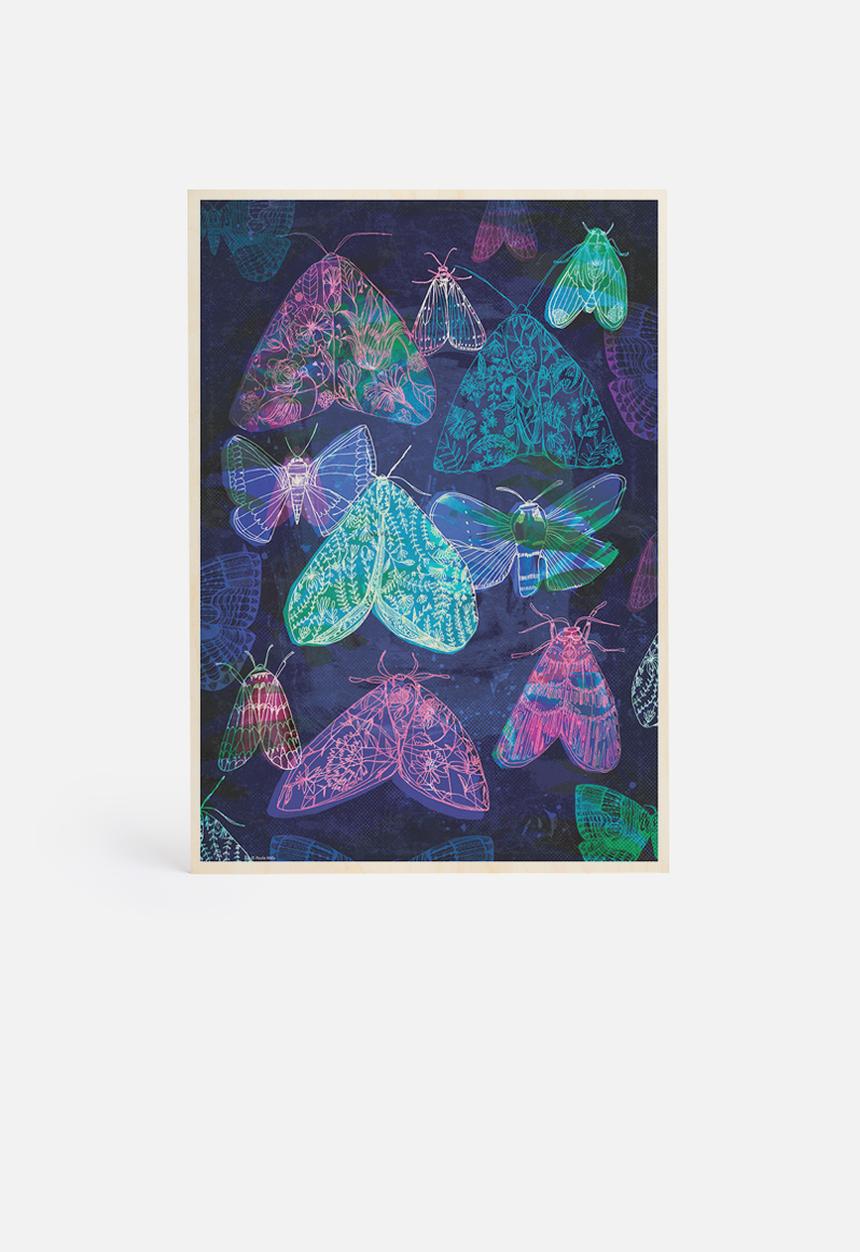 Sweet William - Floral night moths