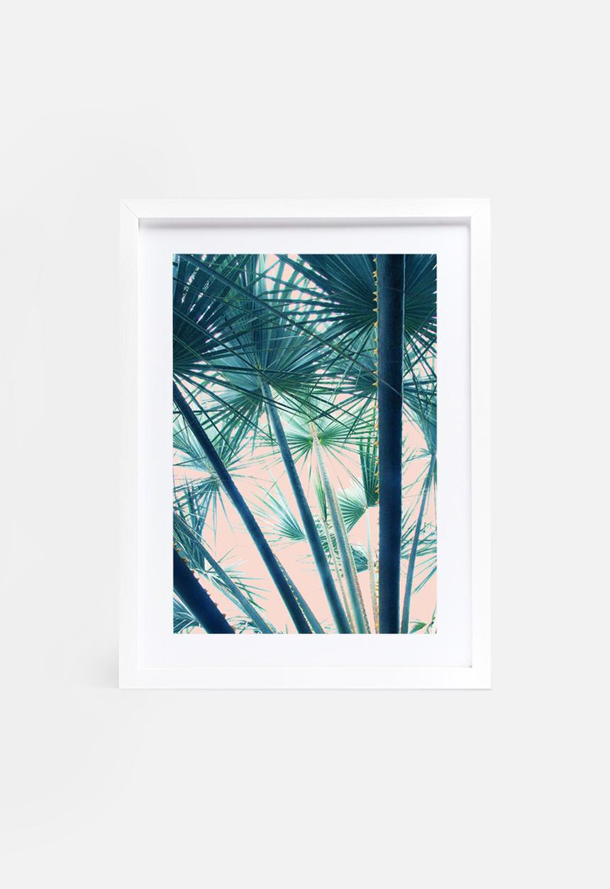 83 Oranges - Tropical V3
