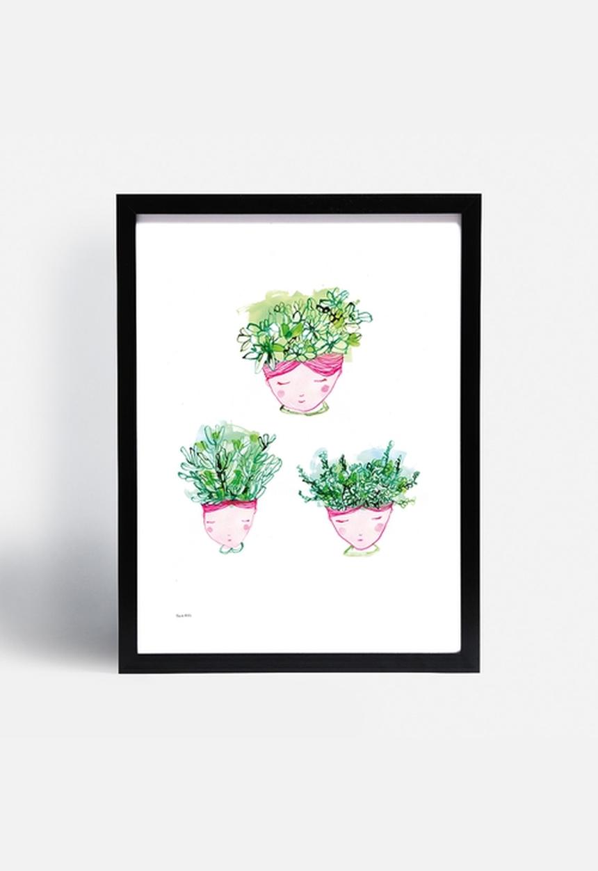 Sweet William - Little Succulents