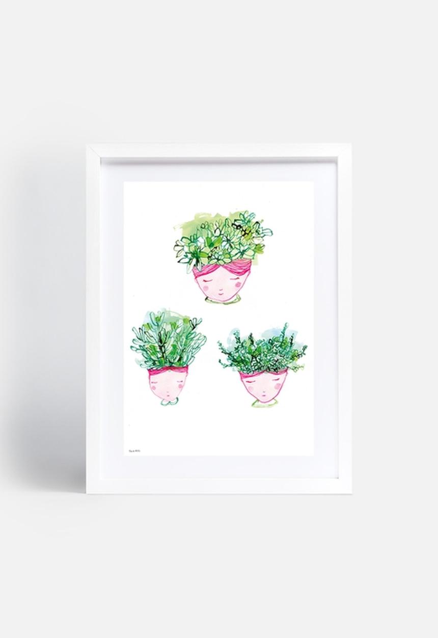 Sweet William - Little Succulents