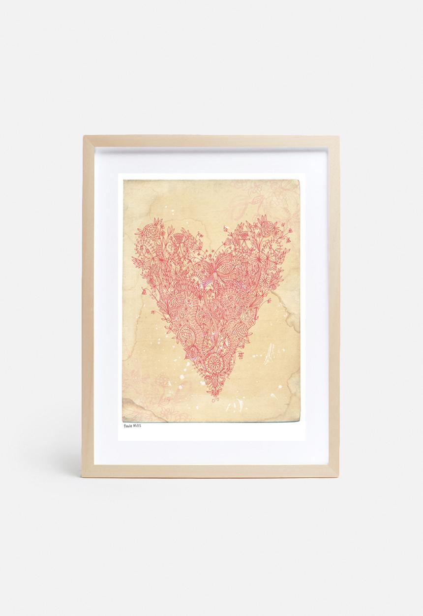 Sweet William - Love Art