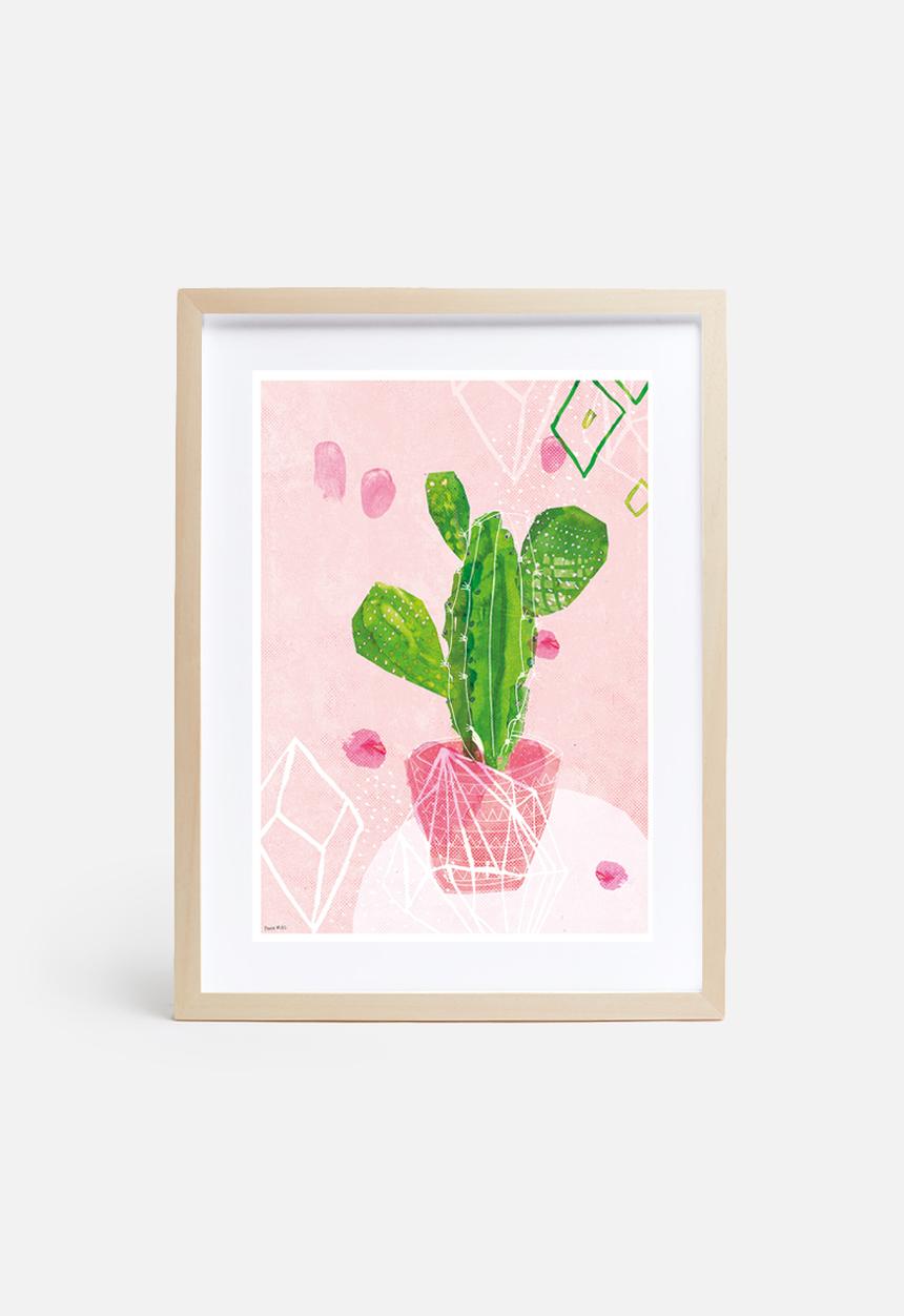Sweet William - Pastel Cactus