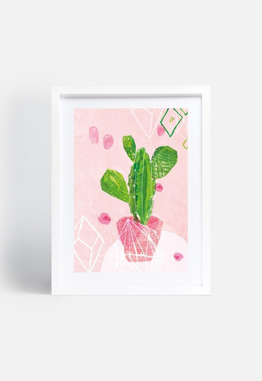Sweet William - Pastel Cactus