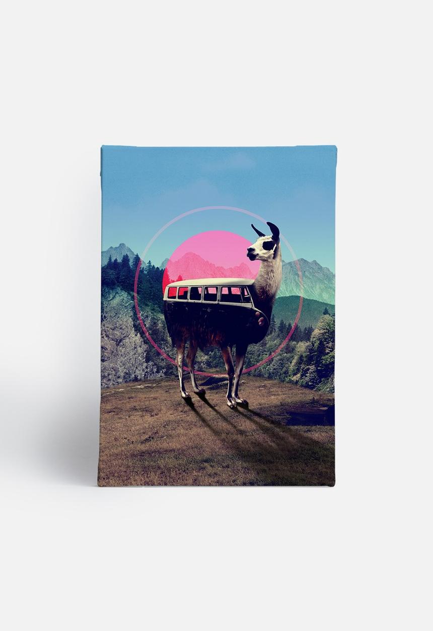 Ali Gulec - Llama