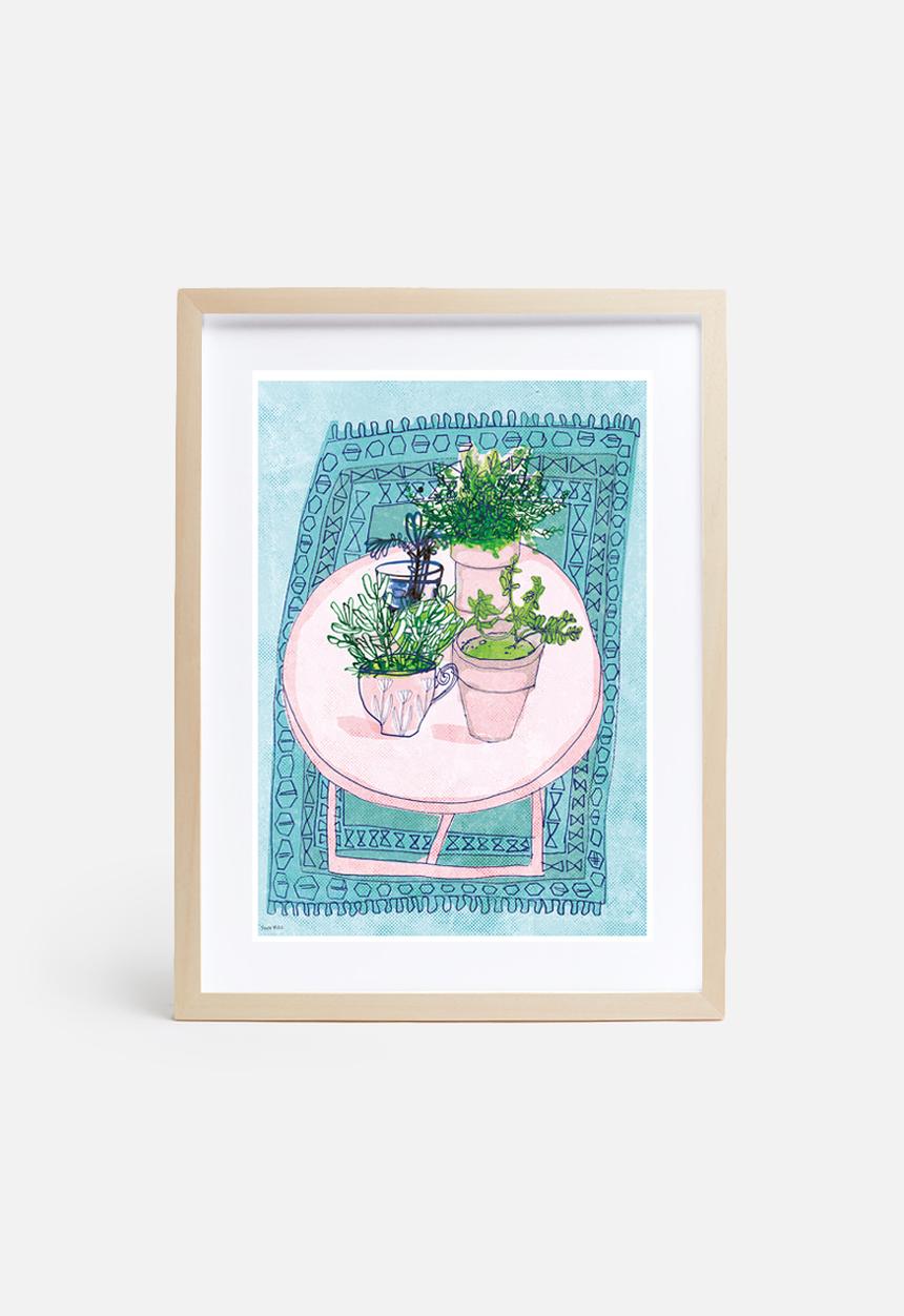 Sweet William - Table Top
