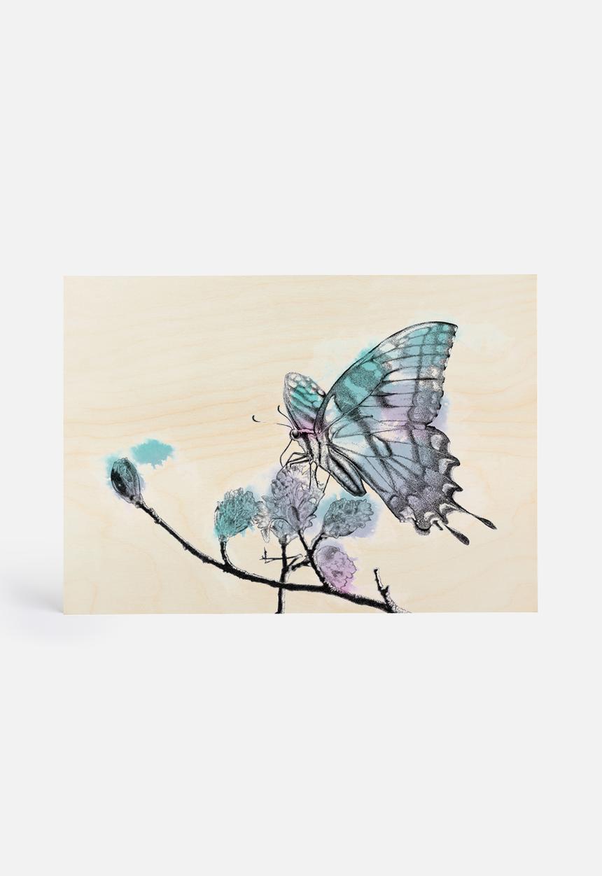 Sixth Floor - Butterfly colour